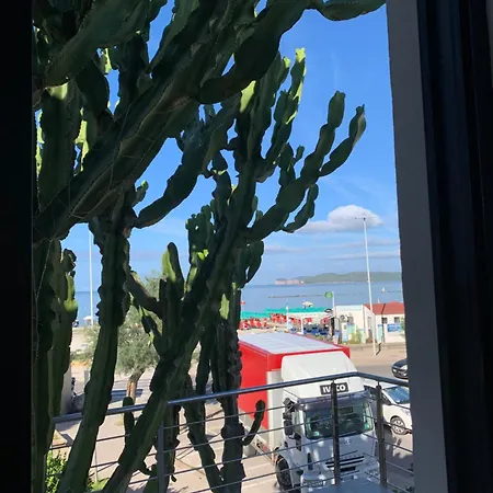 Cactus On The Alghero