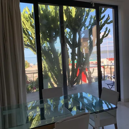 Cactus On The Apartment Alghero