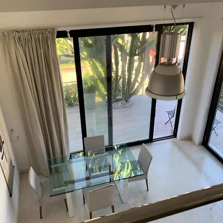 Apartment Cactus On The *