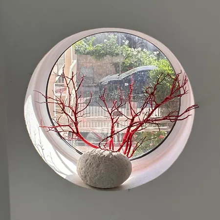 Cactus On The *